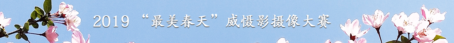 首页中部横屏广告图