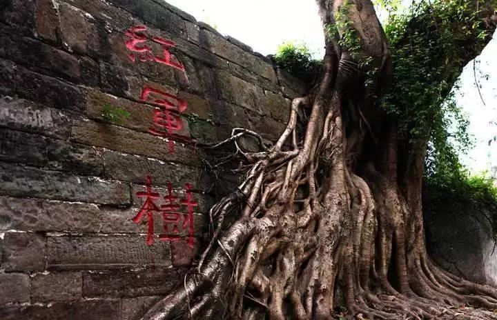 巴中! 一个一直低调 终于开始绽放地方!