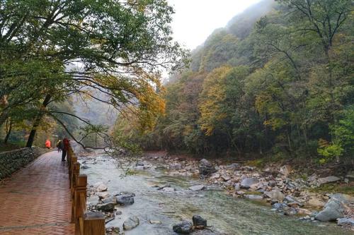 巴中登高节的来历