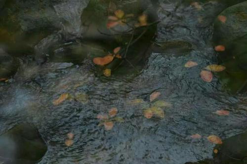 巴中登高节的来历