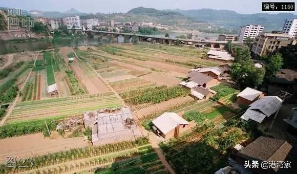 四川巴中这些罕见的老档案曝光!城市成长的点滴都记录在这里